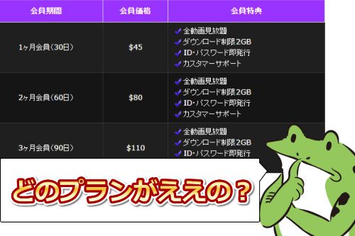 レズのしんぴの料金の選び方